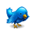 Follow us on Twitter